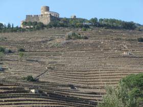 photo coins arrondis